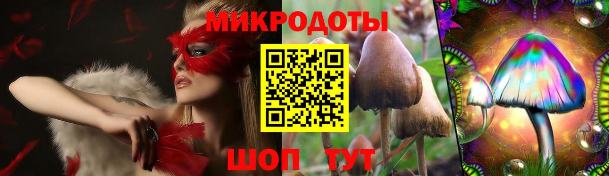 Муравленко  Галлюциногенные грибы Cubensis  Вход с VPN  Галлюциногенные грибы мицелий 
